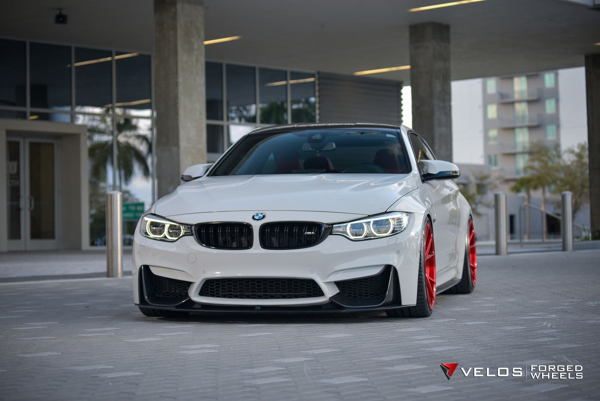 Alpine White BMW F82 M4 on Velos D7 Forged Wheels - Velos Designwerks