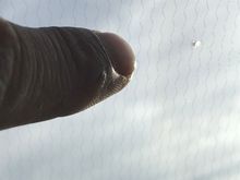 My Post Pictures