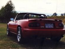 The view most Mustang drivers end up seeing!