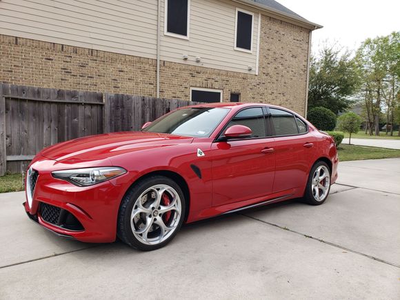 Washed, waxed, paint protection wrap, and window tint.