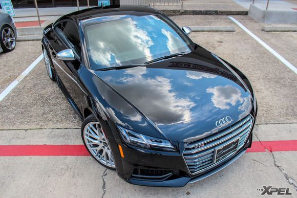 This Audi looks absolutely gorgeous sitting outside in the sun with XPEL ULTIMATE on the entire front end and rocker panels