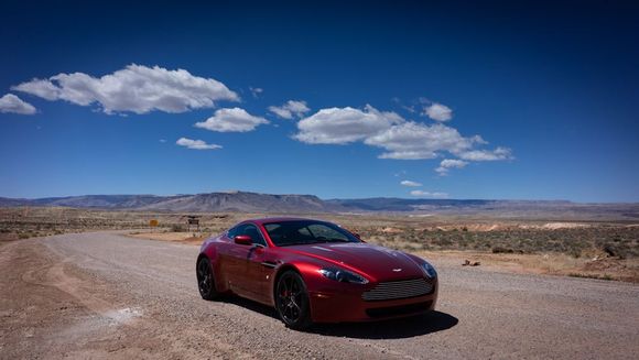 Enjoying desert life