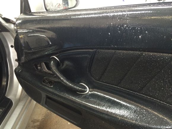door panel cleaning