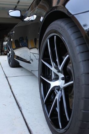 Concave Rear