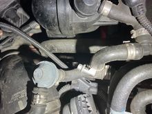 wiring junction for mice damage wiring