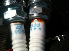 old NGK Plugs
