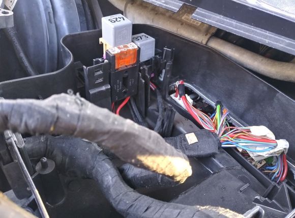 Wiring, fuses and relays.