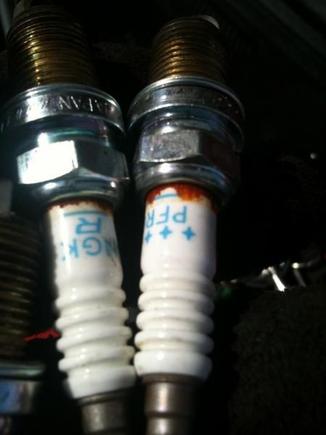 old NGK Plugs