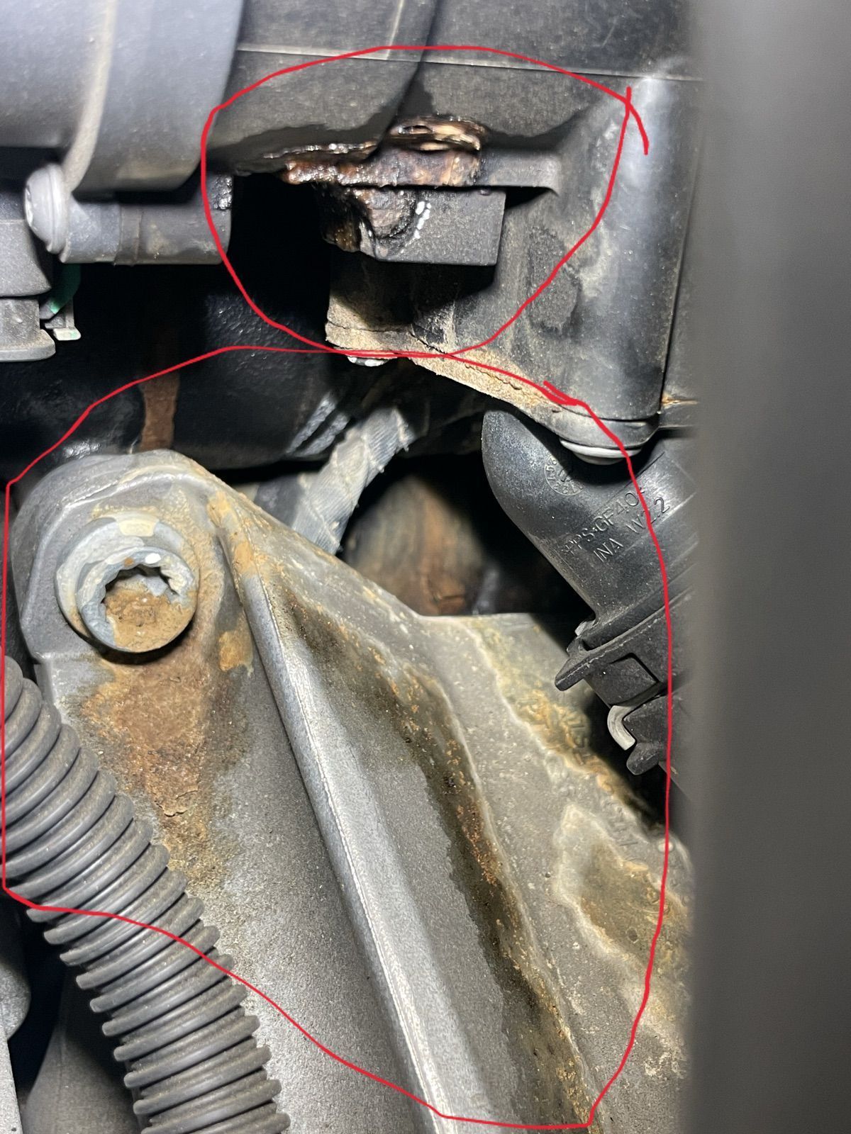 What should I expect for a water pump leak diagnosis? - AudiWorld Forums