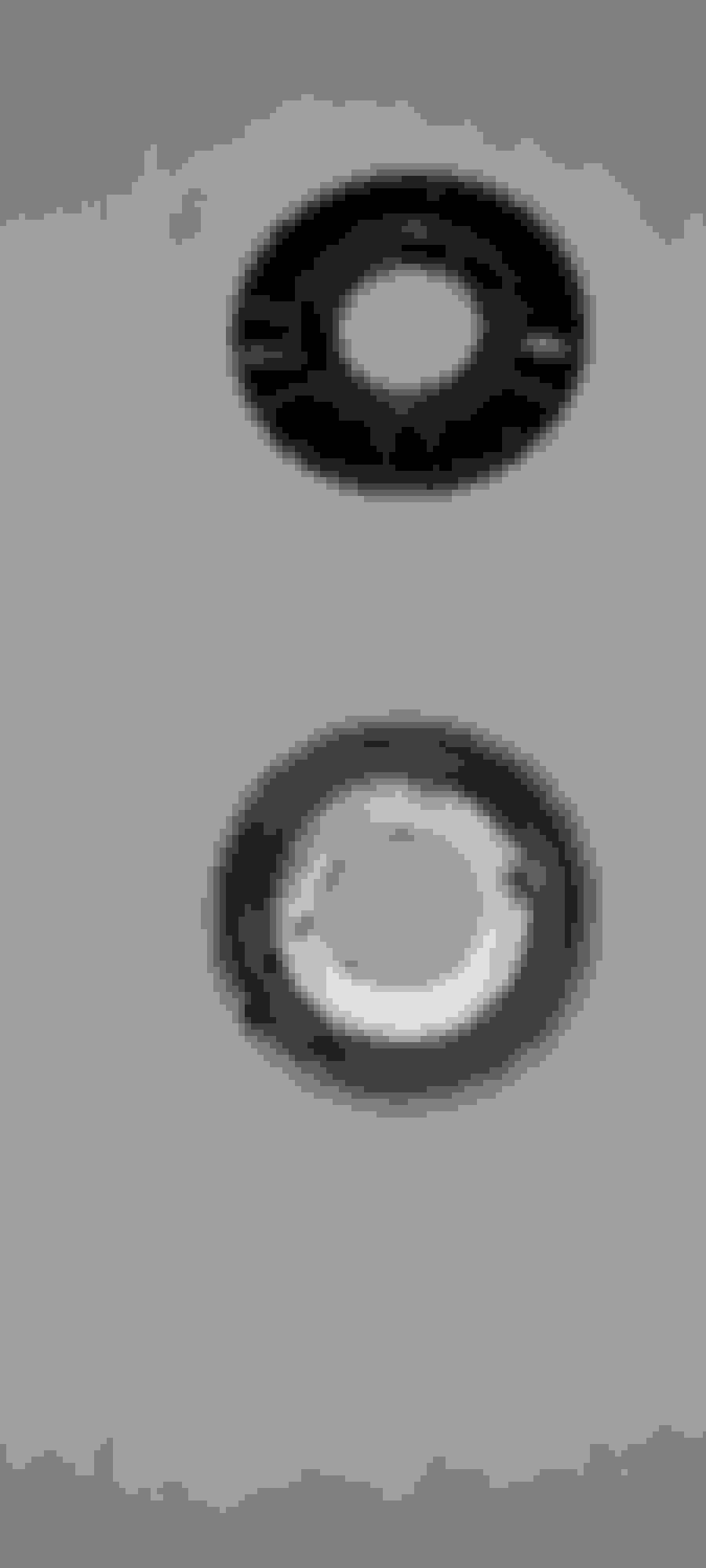 2014 Q5 squeaking electronic parking brake Page 2 AudiWorld Forums