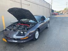 Bought my first camaro!!