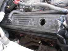 IMG 0457