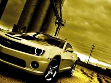 My Camaro 10