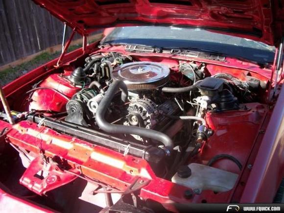 82 under hood it was a temp engine that had a rod go out. So after some debate I sold it to a buy and his son out in California