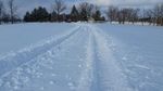 Misc Pictures