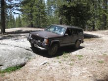 Cute little stock flex