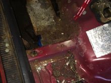 Driver side. Basically from the crossmember forward is ruined. Also rusted halfway up the inner door jamb edge.