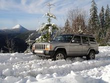 The Daily Driver