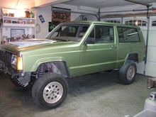 ford kiwi green
