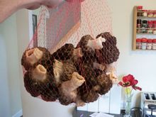mushrooms
