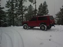 10/2008 Mt Herman rd.
