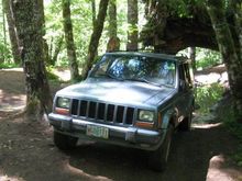 Found my favorite spot :) love this trail.
