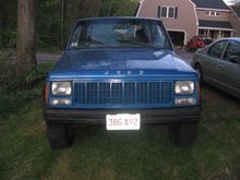 painted grille