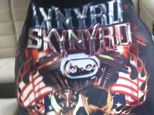 Driver seat cover 2