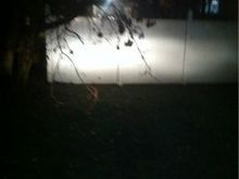 image 776777617