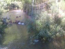 thats the creek that is part of the road as we passed