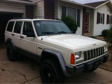 The day I got him