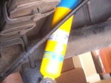 Bilstein rear shocks
