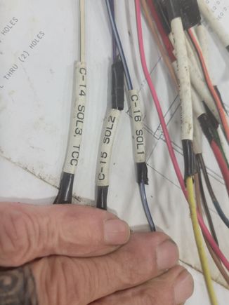 Wires for trans