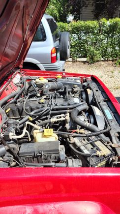 Engine bay(passenger side)