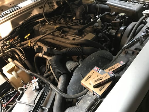 Spark plug replacement 