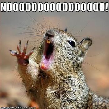 you should of stayed in bed