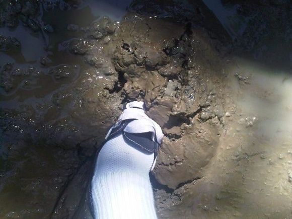 it looked like solid ground