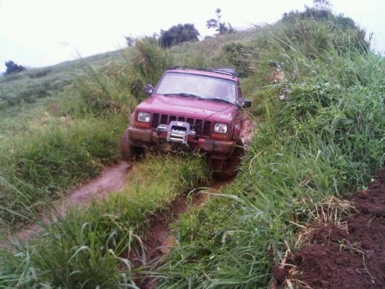 IMG00268 20101207 1250