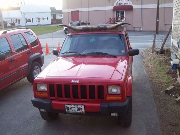 homemade cedar roof rack and real texas long horns yes i do live in Maine but I still like to mount animal parts to my rig and yes that is a piece of shit liberty next to my xj thats the mums rig to be added home made bumper brush guard 2in receiver car pusher and tow hooks