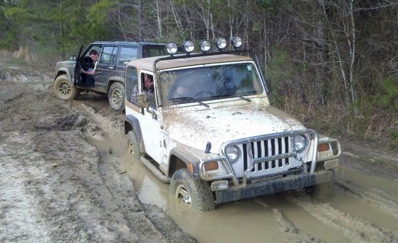 Pulling Brother in law out