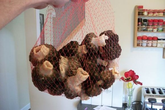 mushrooms
