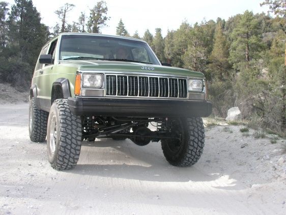 big bear