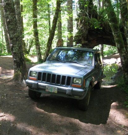 Found my favorite spot :) love this trail.