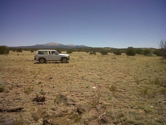 IMG00106 20100619 1241