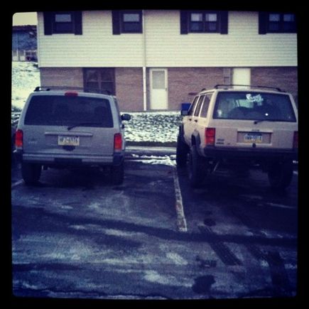 My neighbors stocker.