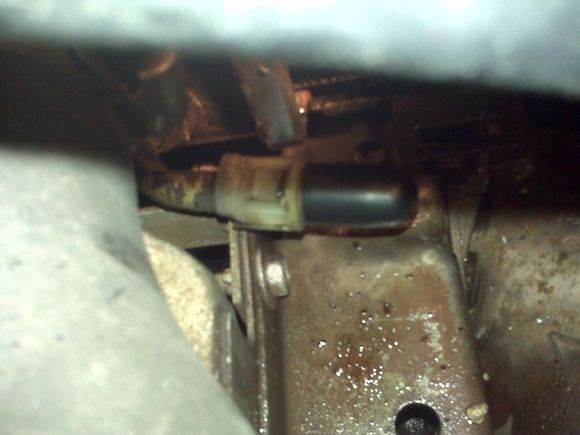 bottom line from radiator capped off.