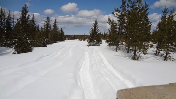 Snow 014