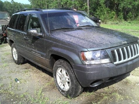 Less than 10 minutes after hitting the trails