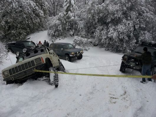 459812 1967659088629 1757509861 911667 619185410 o