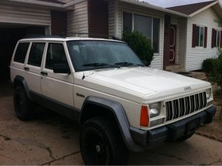 The day I got him